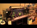 6th silesian aquarium weekend 2014 pt.4 aquariums in the central and right part of the hall