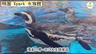 [旅遊]桃園 Xpark 水族館 置地廣場內 13大主題展區 乘坐高鐵 機場捷運即可到達 企鵝、水母、水豚、魟魚、海豹、山羊