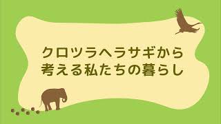 4 クロツラヘラサギから考える私たちの暮らし