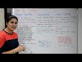 what is cartilage in hindi types functions rajneet medical education