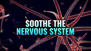 Soothe the Nervous System - Heal Your Vagus Nerve, Nerve Healing Binaural Beats