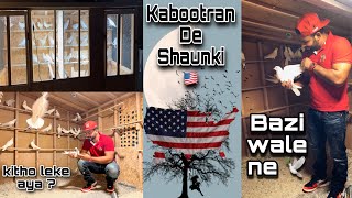 Punjab toh aye kabootar AMERICA 🇺🇸 | shaunk kabootran da | Bazi wale kabootar | Daljit Dhanoa