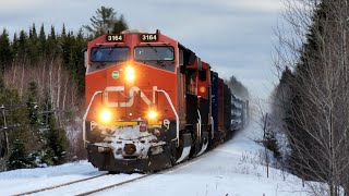 Winter Train! 56 MPH Train Cruises Through The Forests of Canada!