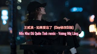 王贰浪 - 如果爱忘了 (Cicy修改DJ版) | Nếu Như Đã Quên Tình remix