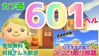 カブ価601ベル 島開放中！ あつまれどうぶつの森