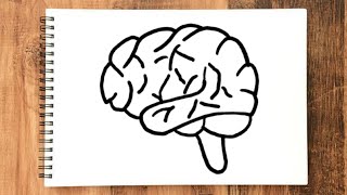 How to draw human brain Step by Step Easy way For Beginners - CREATIVE ART