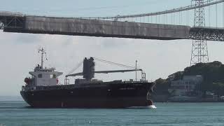 関門大橋通過中！　Bulk Carrier【OCEAN SEAGULL】