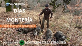 El puesto soñado de todo cazador | Caza Tradicional | 6 Lances, 6 Jabalíes.