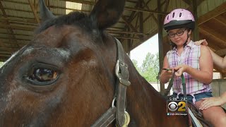 Equestrian Charity Facing Eviction