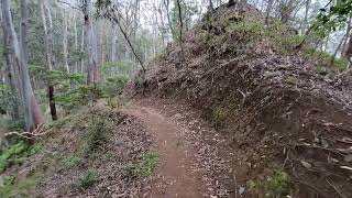 Aiea Loop Trail