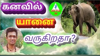 கனவில் யானை  வருகிறதா? Kanavil yanai varukeratha?