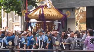 20160605  四谷須賀神社例大祭　本社神輿渡御