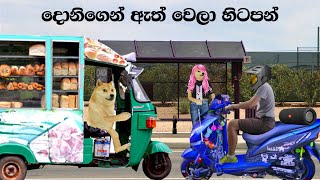 දොනිගෙන් ඇත් වෙලා හිටපන්....