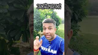 #259 ঘাঁত লগোৱা মলমটোৰ নাম লিখি ৰাখক আৰু share কৰক #devottom #devottomaxom #Healthy_Assam