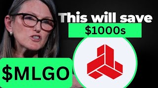 MLGO Stock MONDAY CRAZY START! (buying?) MicroAlgo stock analysi ic markets review