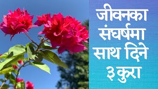 इसाई जीवनका संघर्षमा साथ दिने ३ कुरा || 3 Things for a victorious Christian life