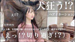 【31cm超バッサリ‼️】ヘアドネーションしてショートボブに!!ラスト飼い犬とお母さん..まさかの反応で〇〇過ぎる!!?大学4年生の就活前編。面長さんおすすめ【イメチェン】