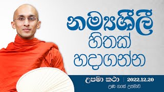 11) නම්‍යශීලී හිතක් හදාගන්න | දහම් අරුතින් පිරි උපමා කතා | ‍2022.12.20