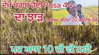 Pusa 44 paddy yield / ਪੂਸ਼ਾ ਝੋਨੇ ਦਾ ਝਾੜ ਦੇਖੋ #kisaan #paddy #farmer #crop #ਕਿਸਾਨ