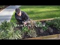 How to maintain - Geum