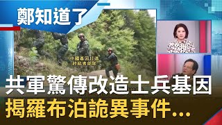 解放軍驚傳改造士兵基因!?人體實驗欲打造刀槍不入\