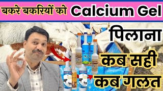 बकरे बकरियों को Calcium Gel पिलाना 👉🏻कब सही कब गलत calcium gel for goat