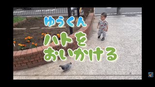 鳩を追いかける1歳児ゆうくん