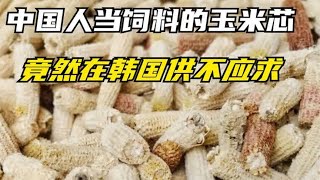 在中国人当饲料的玉米芯，居然在韩国供不应求？他们用来干这个