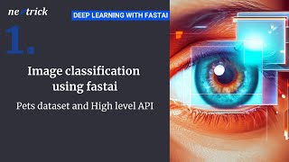 Lesson 1- Image Classification (using Fastai)