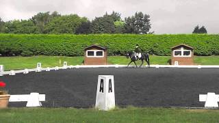 Sir Lancelot, Sheepgate U25's Champs - Novice Test