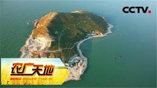 《农广天地》 20180206 芙蓉岛螺美参贝鲜 | CCTV农业