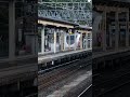 20240916 滋賀　近江塩津駅　しらさぎ shorts