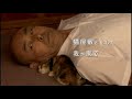 映画『ねこばん3d とび出すにゃんこ』予告編