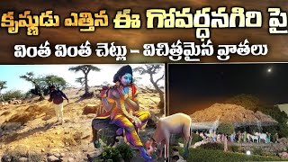 శ్రీ కృష్ణుడు ఎత్తిన గోవర్ధన గిరి పర్వతం పై వింత చెట్లు అక్షరాలు - Govardhana Giri Parvatham