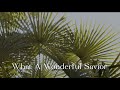 335 SDA Hymn - What A Wonderful Savior (Singing w/ Lyrics)