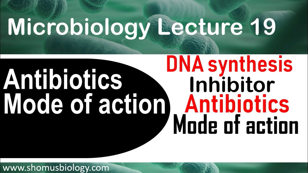 DNA Synthesis Inhibitors Antibiotics | Mode Of Action - YouTube