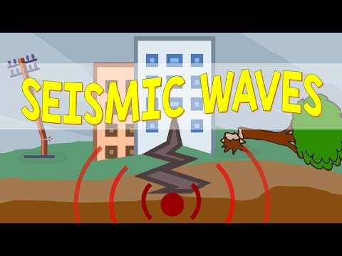 What are P waves also known as?