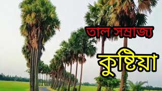 তাল তলা গলাকাটার মাঠ  কুষ্টিয়া // palm field kumerkali kushtia// village life with nazmul