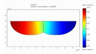 Microfluidic diffusion simulation