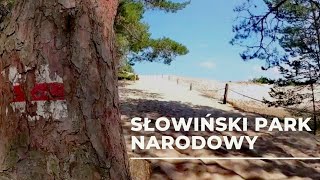 Słowiński Park  Narodowy, a na deser Słupsk