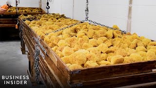 How America's Largest Natural Sponge Processor Cleans 1 Million Sponges A Year | Business Insider