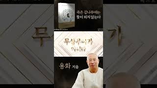 (당신의 인생을 바꿔줄 지혜의 책) 죽은 감나무에는 꽃도 피지 않는다용화 지음 (종교부분 베스트셀러)안양 수리산 용화사 031-444-9985