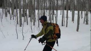 Cross Country Ski - Columbine, Colorado