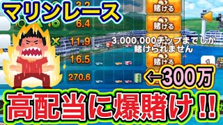 【カジプロ】マリンレースで高配当を狙って爆賭けした結果がこちらです！