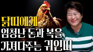 닭띠! OO띠랑 어울리면 부자 됩니다! 닭띠에게 가장 좋은 귀인띠! 돈방석에 앉아 상상도못한 행운이 들어와 무조건 대박나는 띠는?! 57년생 69년생 81년생 93년생 운세