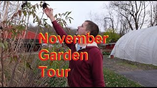 Fall Garden Tour