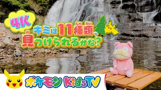 【ポケモン公式】キミは11種類、見つけられるかな？「滝・森・山」編 【4K】－ポケモン Kids TV