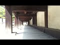 nightingale floors squeek nijo castle 二条城 nijōjō