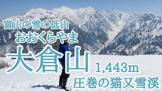 【雪山登山】大倉山　猫又雪渓を見たくて　富山の雪の低山　2023年4月1日