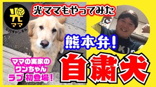 【自粛犬】#1 光ママも熊本弁でやってみた！！